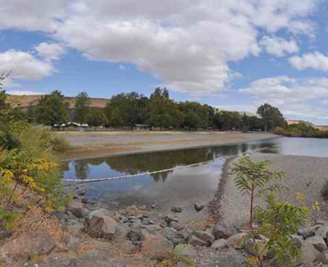 Lake and trees at Maryhill State Park